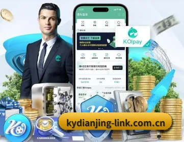 开云电竞官网下载 APP 深度功能