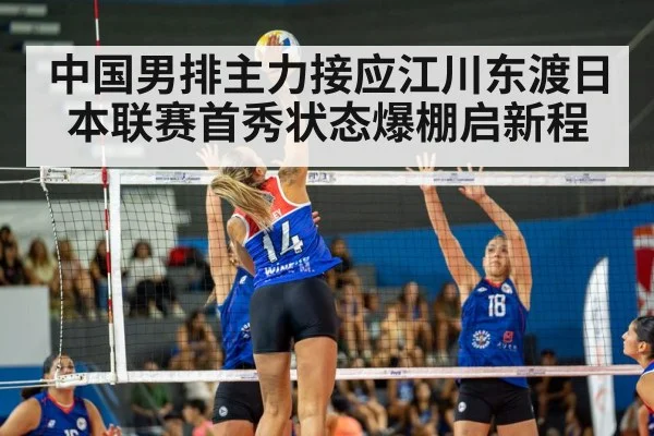 volleyball match action